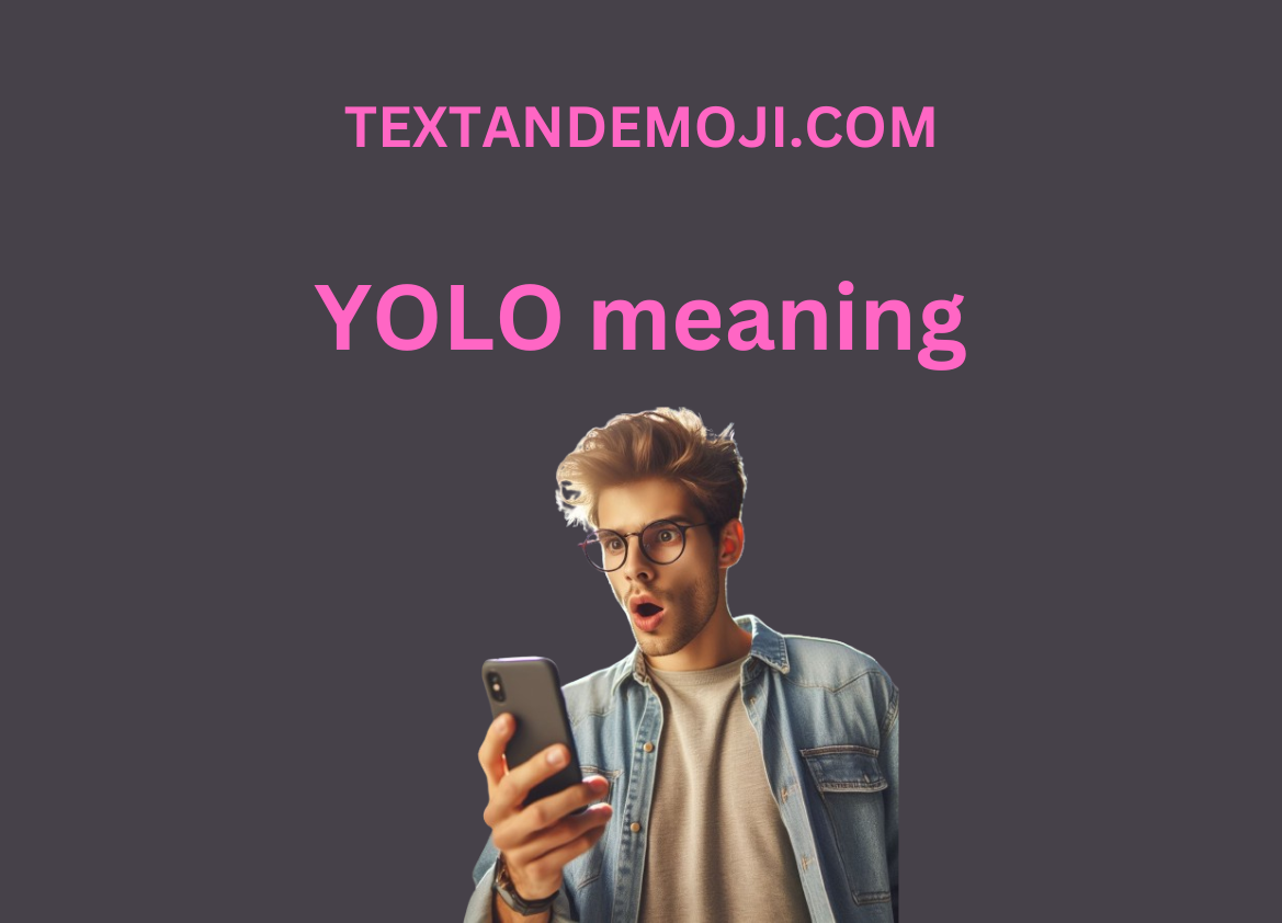 YOLO meaning